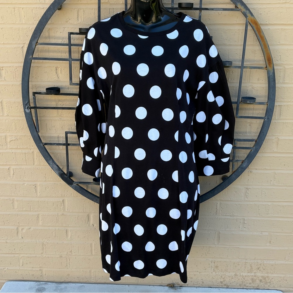 Zara Polka Dot Dress